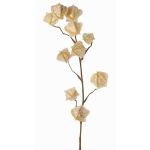 Umělá větev physalis AINOS, plody, třpytky, krémová, 80cm