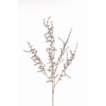Dekorativní větev Asparagus acutifolius PARNASO, zlatá, 100cm