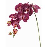 Dekorativní větev orchideje Phalaenopsis WESA, tmavě fialovo-bílá, 90cm, Ø11-12,5cm