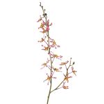Umělá větev orchideje Cattleya TRASSA, růžovo-bílo-žlutá, fialovo-bílo-žlutá, 80cm, Ø4-8cm
