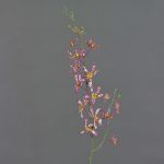 Umělá větev orchideje Cattleya TRASSA, růžovo-bílo-žlutá, 80cm