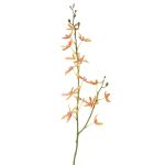 Umělá větev orchideje Cattleya TRASSA, oranžovo-žlutá, oranžovo-žluto-červená, 80cm, Ø4-8cm