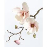 Textilní květina šácholan MALBINE, bílo-růžová, 50cm, Ø7-10cm