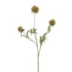 Dekorativní větev hvězda Scabiosa RANIK, zelená, 70cm