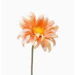 Umělá gerbera BILFON, broskvová, meruňková, 50cm