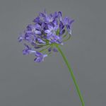 Umělá květina Agapanthus PHILINA, fialová, 75cm, Ø14cm