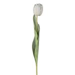 Dekorativní tulipán GUSNAV, bílý, 50cm, Ø5cm