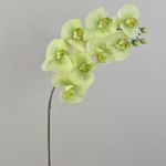 Umělá větvička orchideje phalaenopsis AURELIA, krémovo-zelená, 95cm
