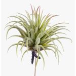 Umělá tillandsia rubra PENNY, se zápichem, zeleno-červená, 12cm, Ø10cm