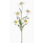 Umělá rostlina plesnivec SOPHIA, bílá, 40cm, Ø5-6cm
