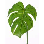Umělý list filodendron monstera deliciosa LANDER, 55cm