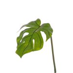 Umělý list filodendron monstera deliciosa LANDER, 55cm