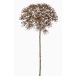 Umělý bolševník ANSARI, hnědá, 80cm, Ø22cm