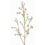 Umělá hoya NIANG, krémová, 80cm, Ø1,5-2,5cm