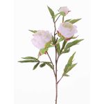 Umělá větvička pivoňky MANJA, bílá, 70cm, Ø8-10cm
