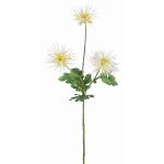 Umělá chryzantéma SOLVIE, bílo-žlutá, 75cm, Ø11-12cm