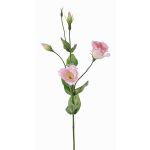 Umělý Lisianthus JUDIKA, růžovo-bílo-zelený, 70cm, Ø6-7cm