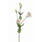 Umělý Lisianthus JUDIKA, bílo-zelený, 70cm, Ø5cm