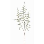 Umělá větev Asparagus acutifolius JOCHEN, zelená, 70cm