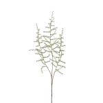 Umělá větev Asparagus acutifolius HANS, zelená, 70cm