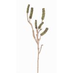 Větev pro čištění válců SIRIUS s ovocem, zelená, 60cm
