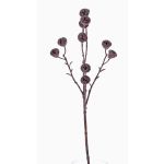 Umělá větev eukalyptu BASILIUS s plody, hnědá, 60cm