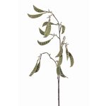 Umělá větev hrachového lusku KLAUS, zelená, 90 cm