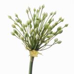 Umělé allium KATYNA, krémové, 70cm, Ø12cm