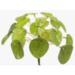 Umělá květina pilea SYBIL na zápichu, zelený, 13cm