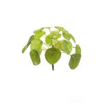 Umělá květina pilea SYBIL na zápichu, zelený, 13cm