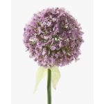 Umělé Allium DURBAN, světle fialové, 70cm, Ø9cm