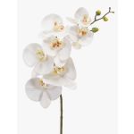 Umělá větev orchideje Phalaenopsis NEITH, bílá, 75cm, Ø7-10,5cm