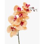 Umělá větev orchideje phalaenopsis NEITH, oranžovo-růžová, 85cm