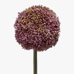 Plast Allium BOUTROS, fialový, 75cm, Ø9cm