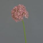 Umělé Allium ARNAU, tmavě růžové, 60cm, Ø10cm