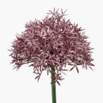 Umělé Allium ARNAU, fialové, 60cm, Ø10cm