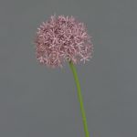 Umělé Allium ARNAU, fialové, 60cm, Ø10cm