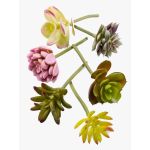 Umělecké sukulenty JADON, tyčinka, 6 kusů, barevná, 13cm, Ø5cm