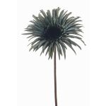 Umělá gerbera SIEDA, modrozelená, 65cm, Ø12cm