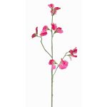 Umělá květina Lathyrus ASFALOTH, tmavě růžová, 65cm, Ø3-5cm