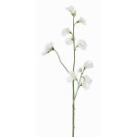 Umělá květina Lathyrus ASFALOTH, bílá, 65cm, Ø3-5cm