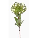 Umělá Protea BAILY, zelená, 55cm, Ø10cm