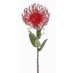 Umělá Protea BAILY, červená, 55cm, Ø10cm