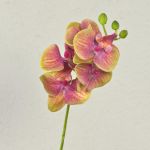 Umělá větvička orchideje phalaenopsis OPHELIA, růžovo-zelená, fuchsiovo-zelená, 40cm, Ø7-8cm