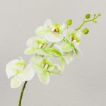 Umělá větvička orchideje Phalaenopsis OPHELIA, krémově zelená, 80cm, Ø8-9cm