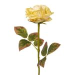 Umělá květina růže DRINT, zeleno-krémová, 60cm, Ø10,5cm
