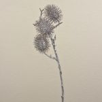 Umělá větev rambutanu WARDA, hnědo-bílá, 60cm