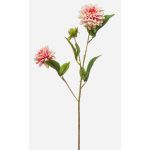 Umělá větev jiřiny CEVAST, světle růžová, růžovo-krémová, 70cm, Ø7-8cm