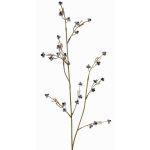 Umělá Stirlingia latifolia COLLAN, černobílá, 75cm, Ø1cm
