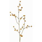 Umělá Stirlingia latifolia COLLAN, oranžová, oranžovo-zelená, 75cm, Ø1cm